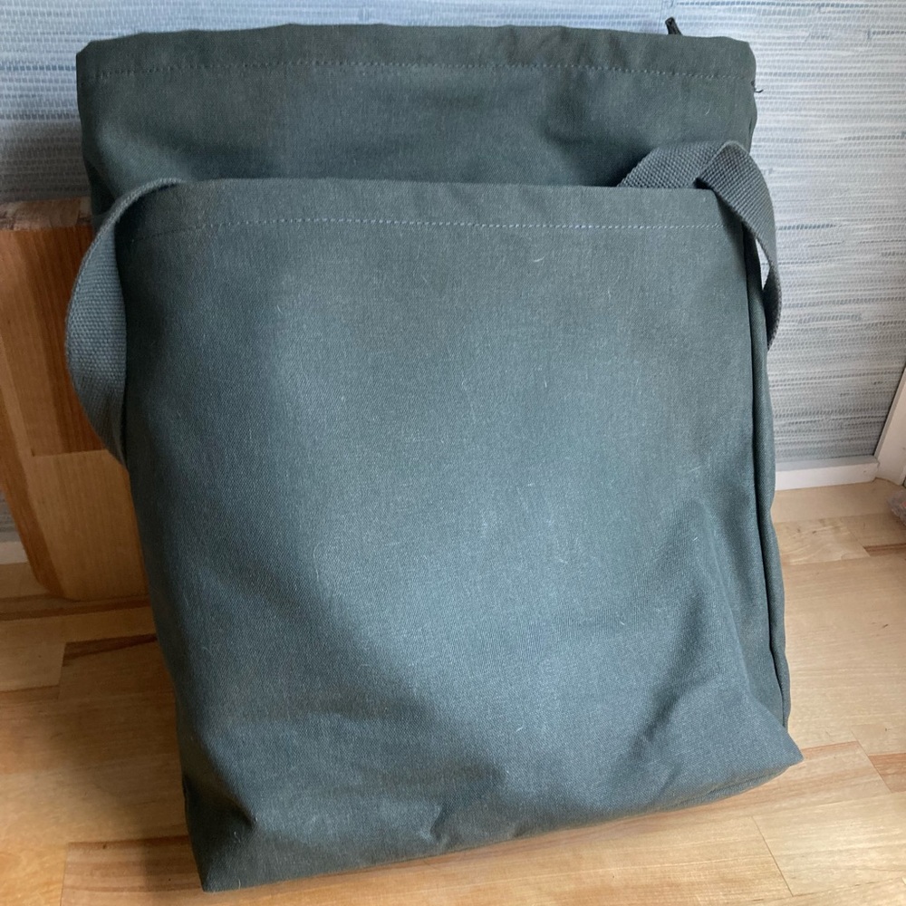 Backpack/purse